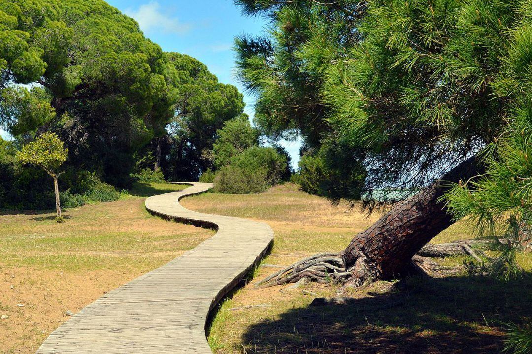 Espacio Natural de Doñana