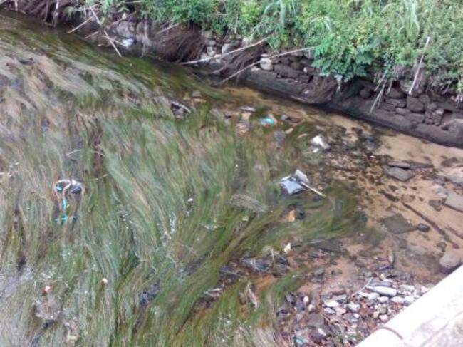Una pantalla d'ordinador, un bastó de ferro... o una roda.