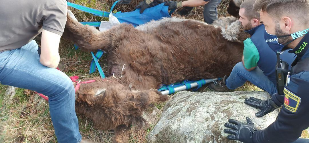 El suceso ocurrió cerca de la ermita de El Boalo, en la Sierra de Guadarrama 