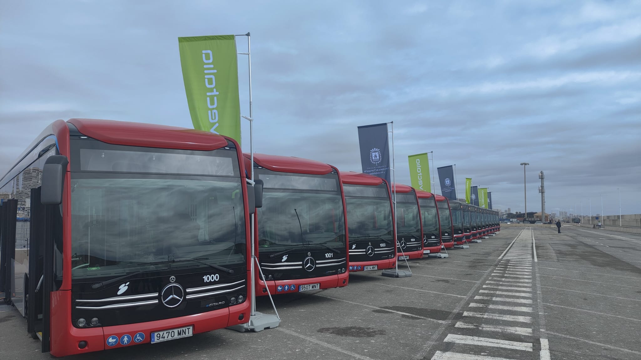 Los nuevos autobuses urbanos eléctricos de Alicante en el acto de presentación