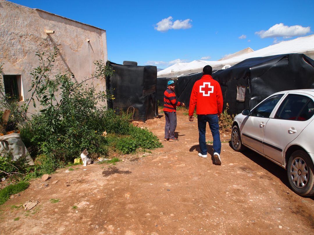 Ordenan derribar 120 chabolas en El Ejido.