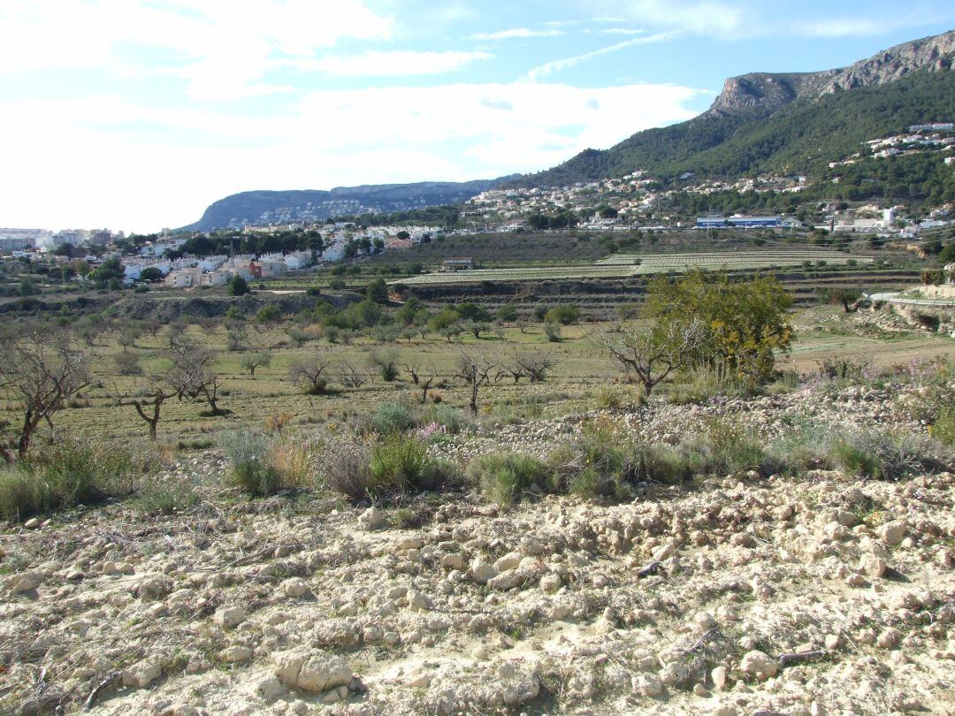 Emplazamieto del futuro Parque Empresarial La Marina de Ifach