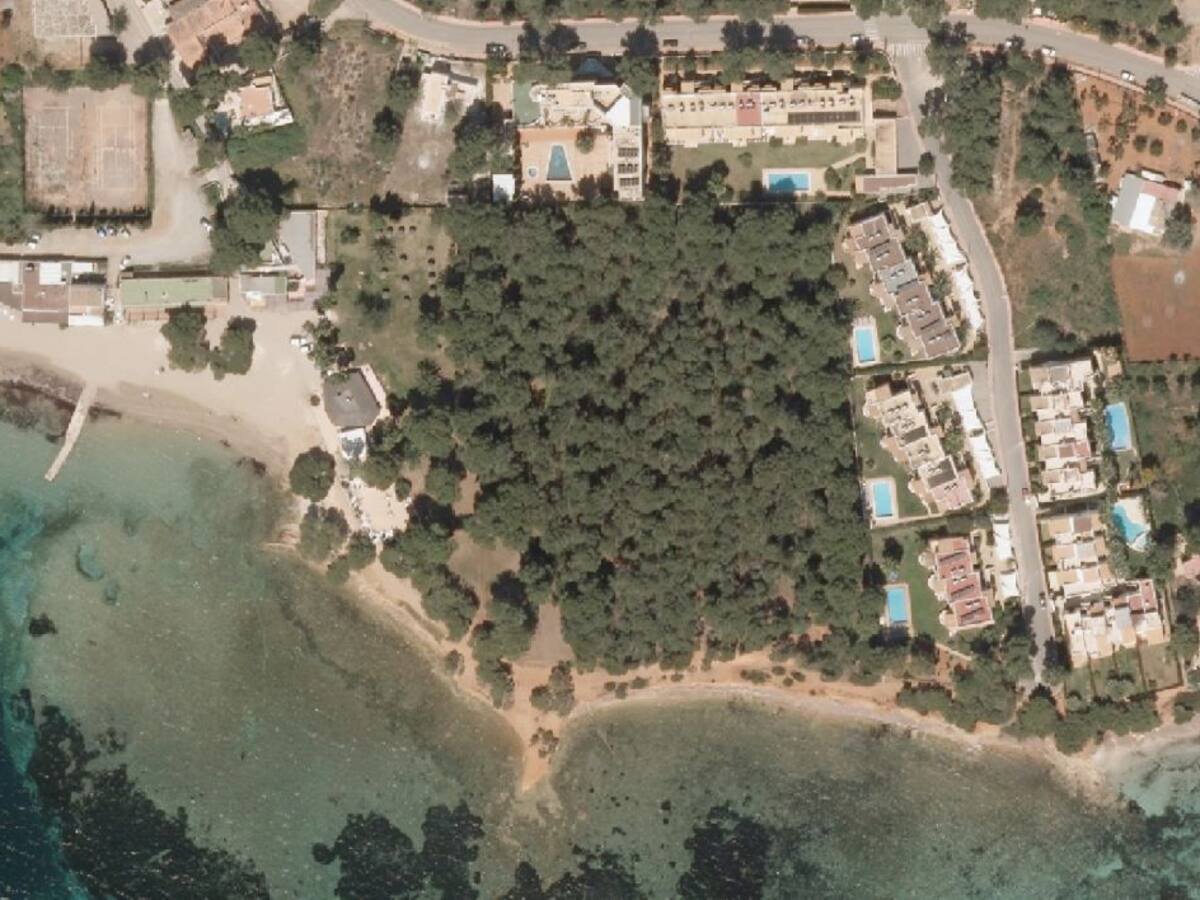 Santa Eulària protegerá un pinar de más de 17 mil metros cuadrados en Cala Pada