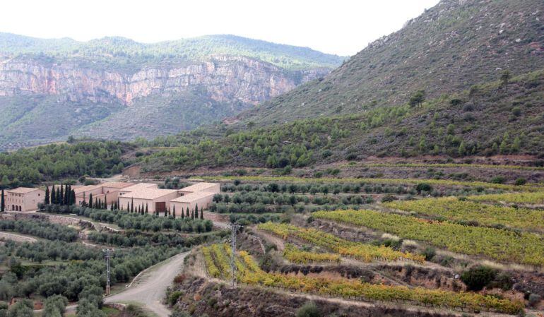 Paisatge de la Vilella Alta.