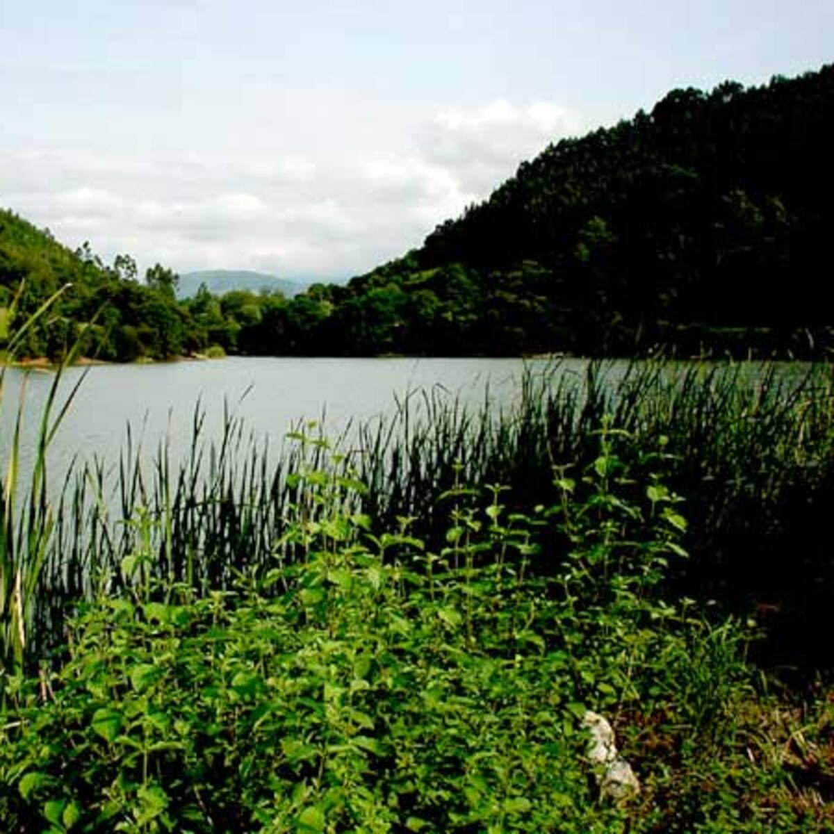 Varios viandantes alertan a la Guardia Civil de la presencia de un cuerpo flotando en el embalse de Heras (Cantabria)