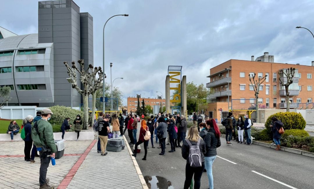 Activistas por la defensa de los animales se manifiestan en la puerta de Vivotencia por el caso de maltrato a los animales en su laboratorio.