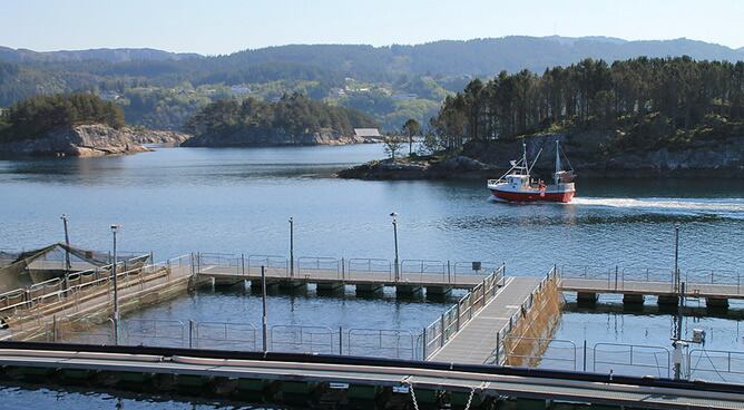 Granjas de espera de Coast Seafood As, en Sotra
