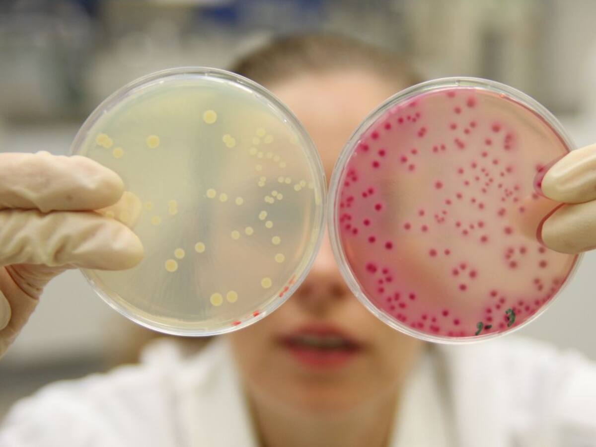 Financiación estable para los Institutos de investigación de la Universidad