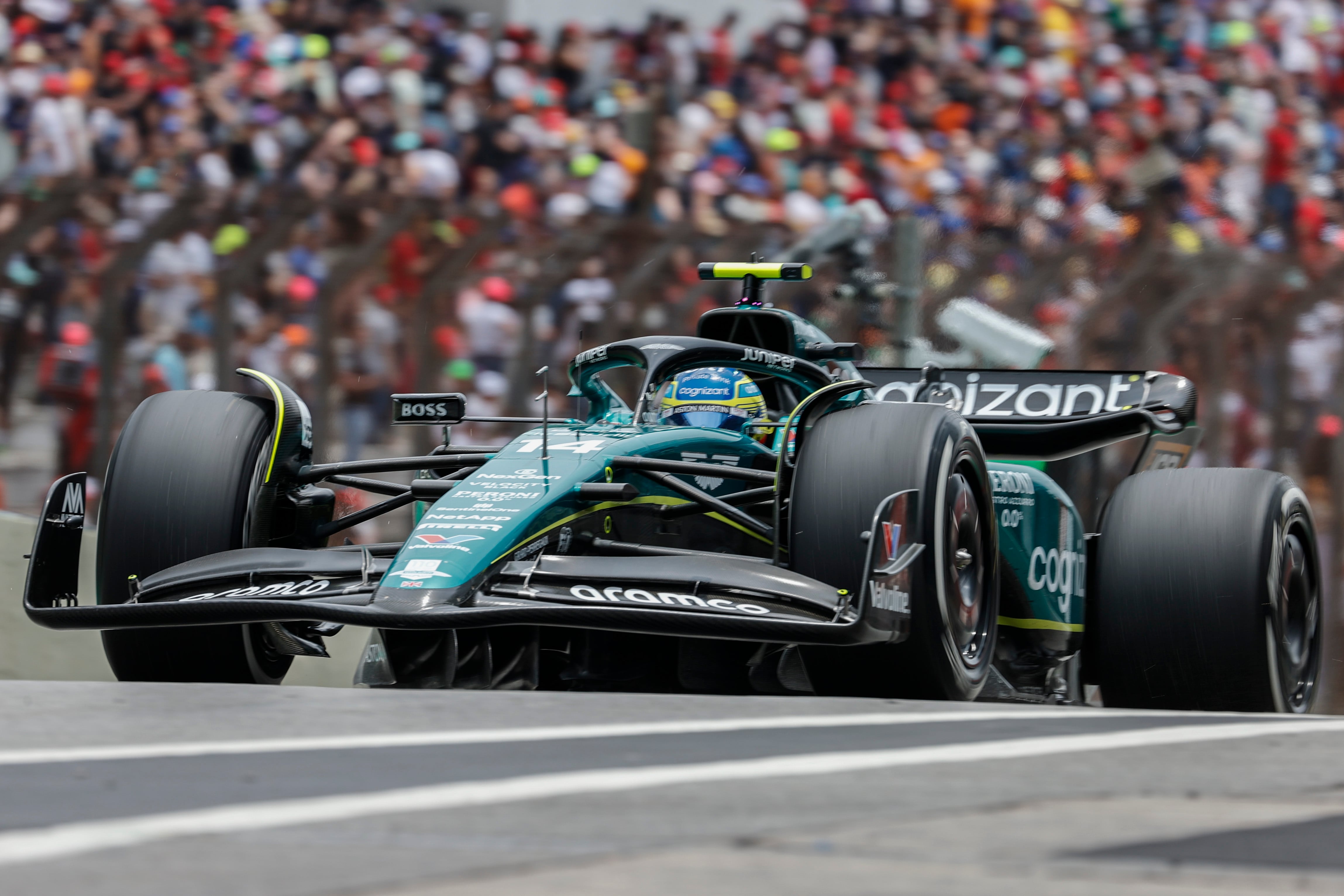 Alonso en el GP de Brasil. EFE/ Sebastiao Moreira