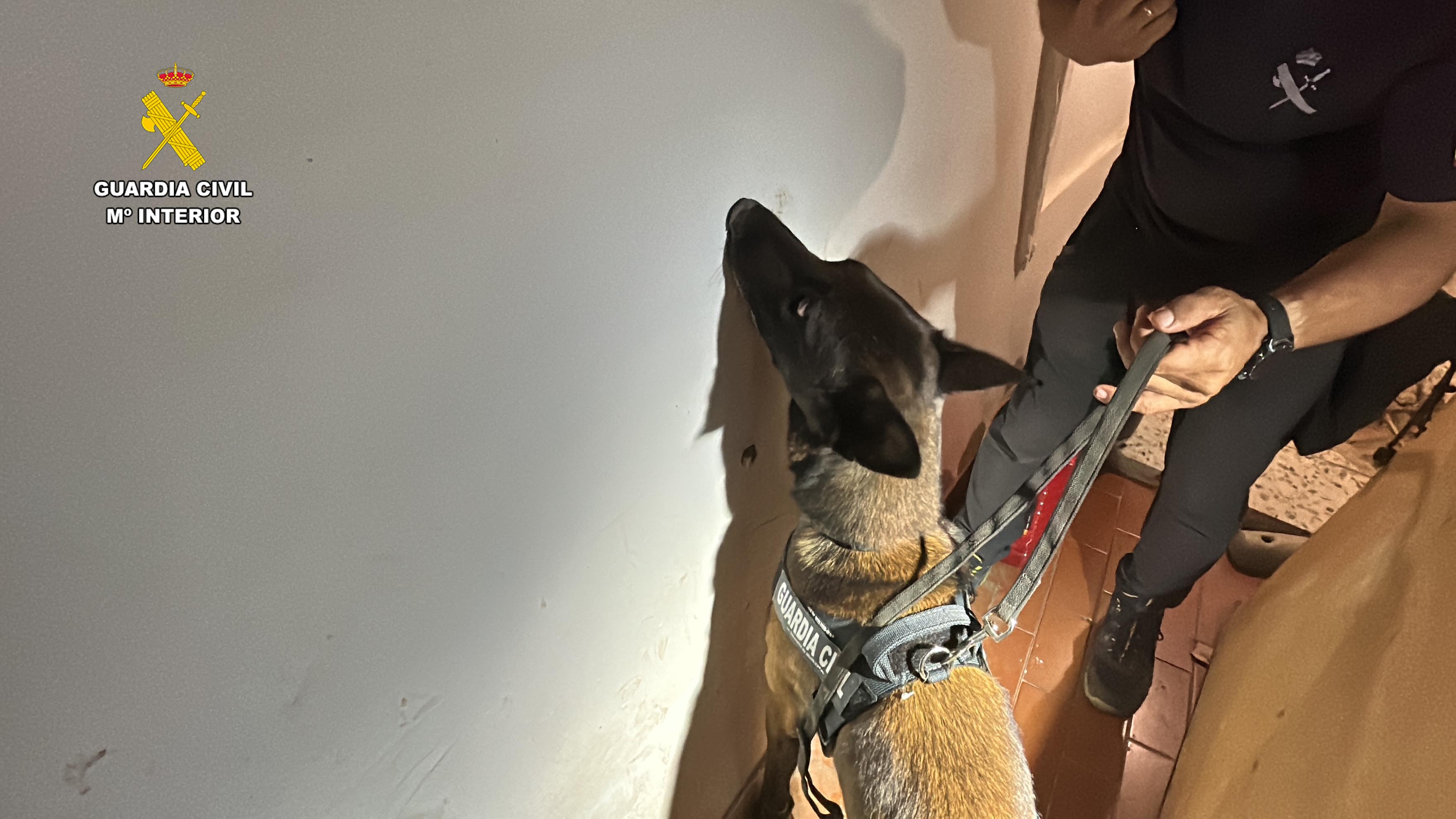 La Guardia Civil inspecciona la casa de la mujer implicada en el crimen de Cuzcurrita