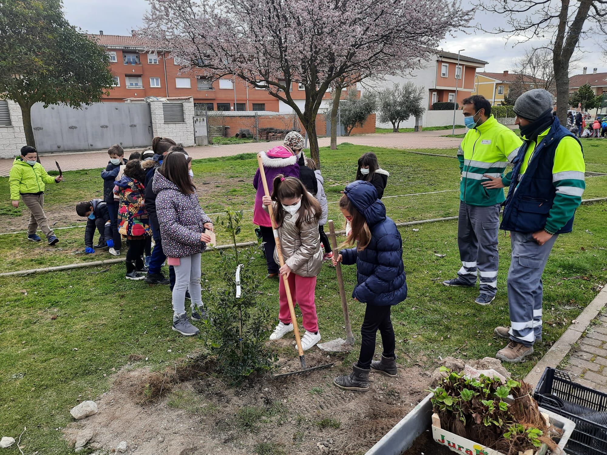 Escolares de Cuéllar participan en una plantación de árboles con motivo del Día Mundial de los Bosques