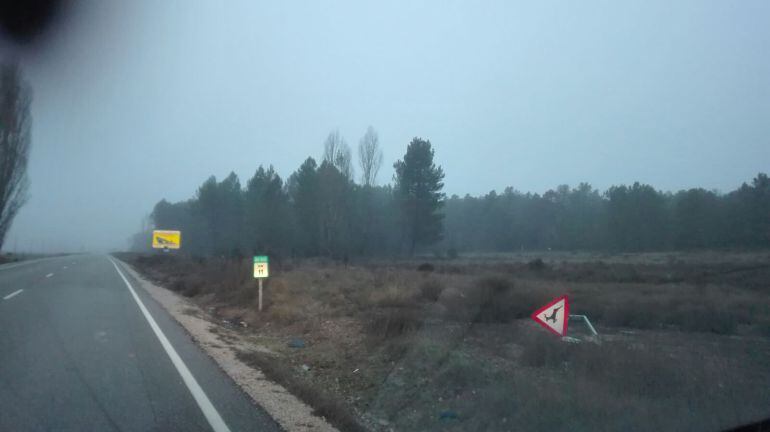 La BU 910 es una de las carreteras problemáticas por la masa forestal