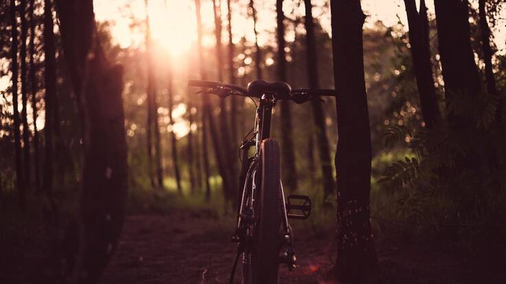 De Holanda a Pamplona por el medio ambiente (02/07/2020)