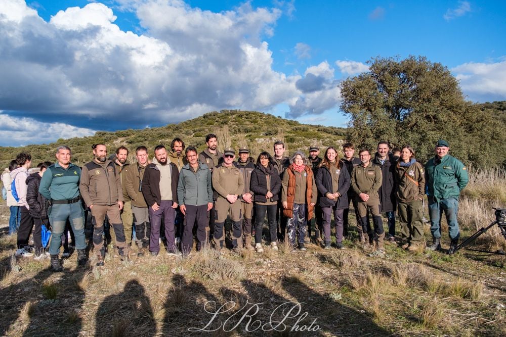 Liberados dos linces ibéricos en Las Pedroñeras