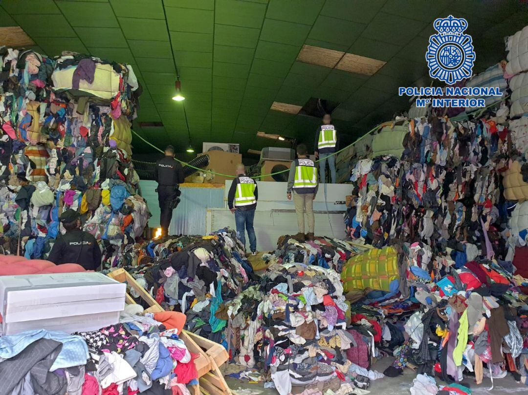 Se han decomisado más de 7.000 plantas