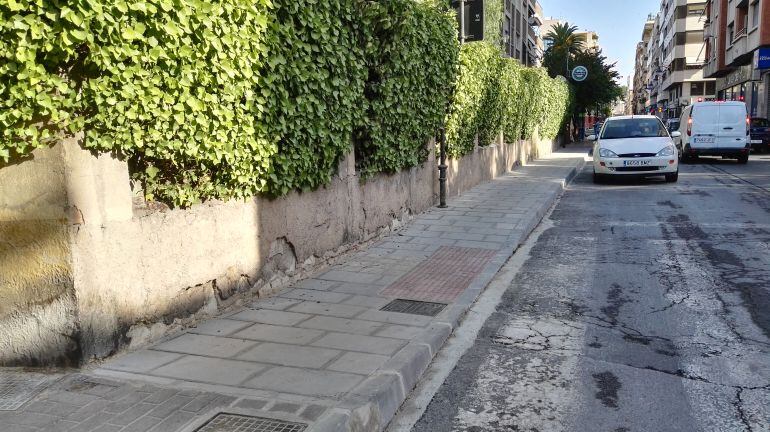 Arreglo de la Avenida Reina Victoria de Elda