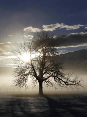 Niebla en el sur de Alemania