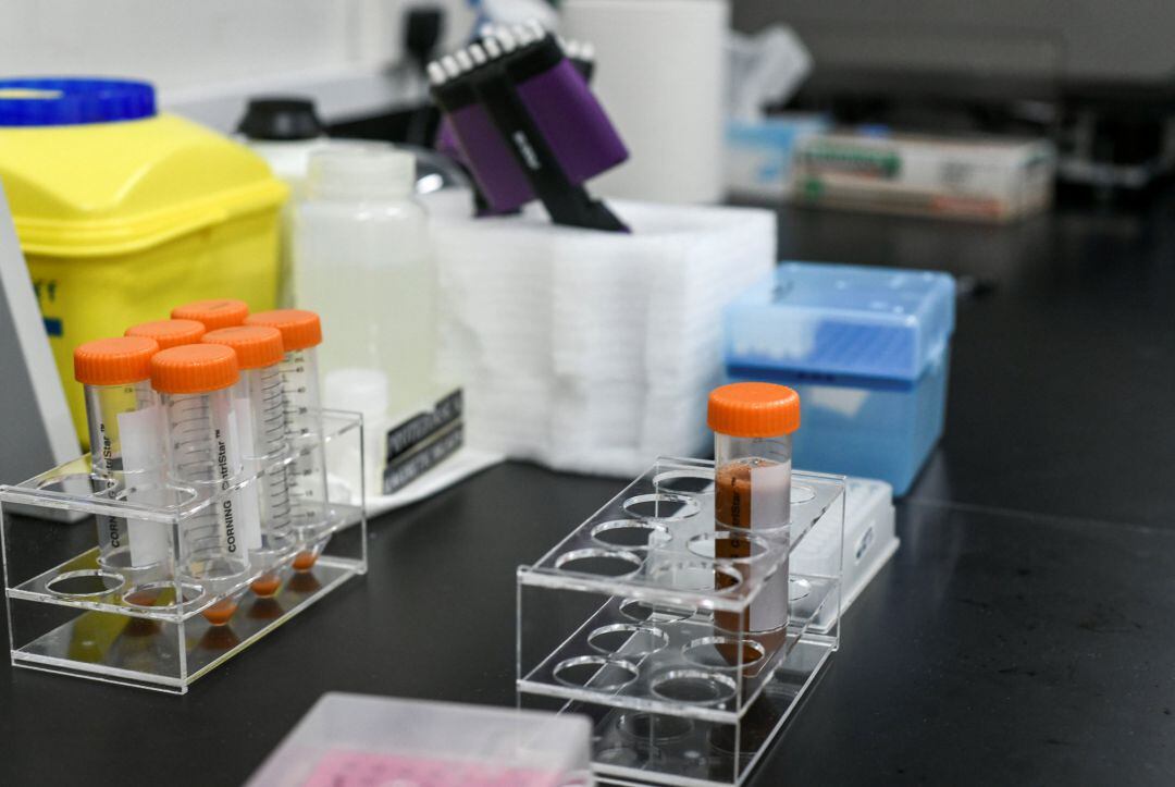 La Junta declara un brote de Covid-19 en Chañe con 23 positivos