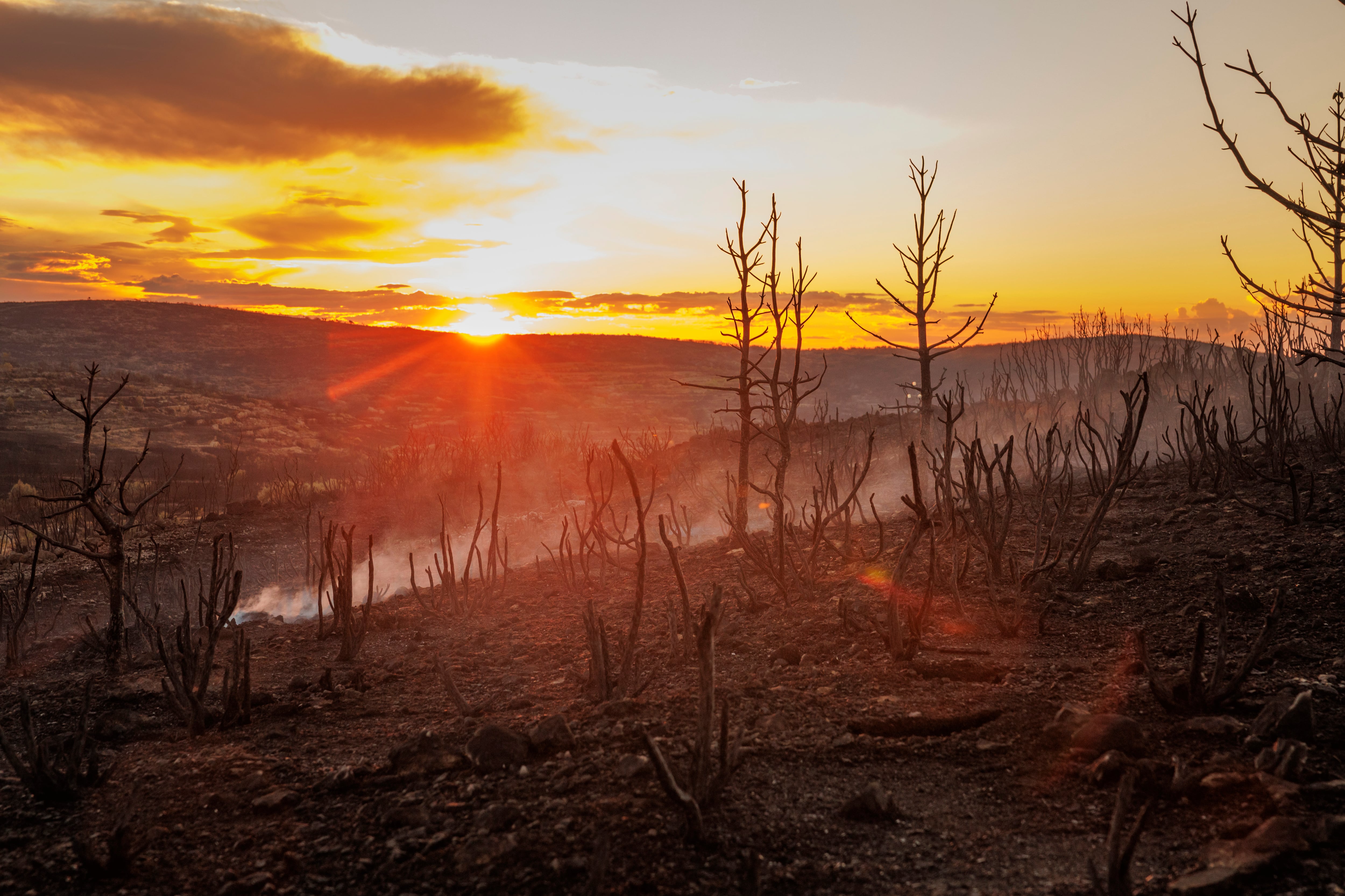 El entorno del incendio forestal de Bejís, en la comarca castellonense del Alto Palancia