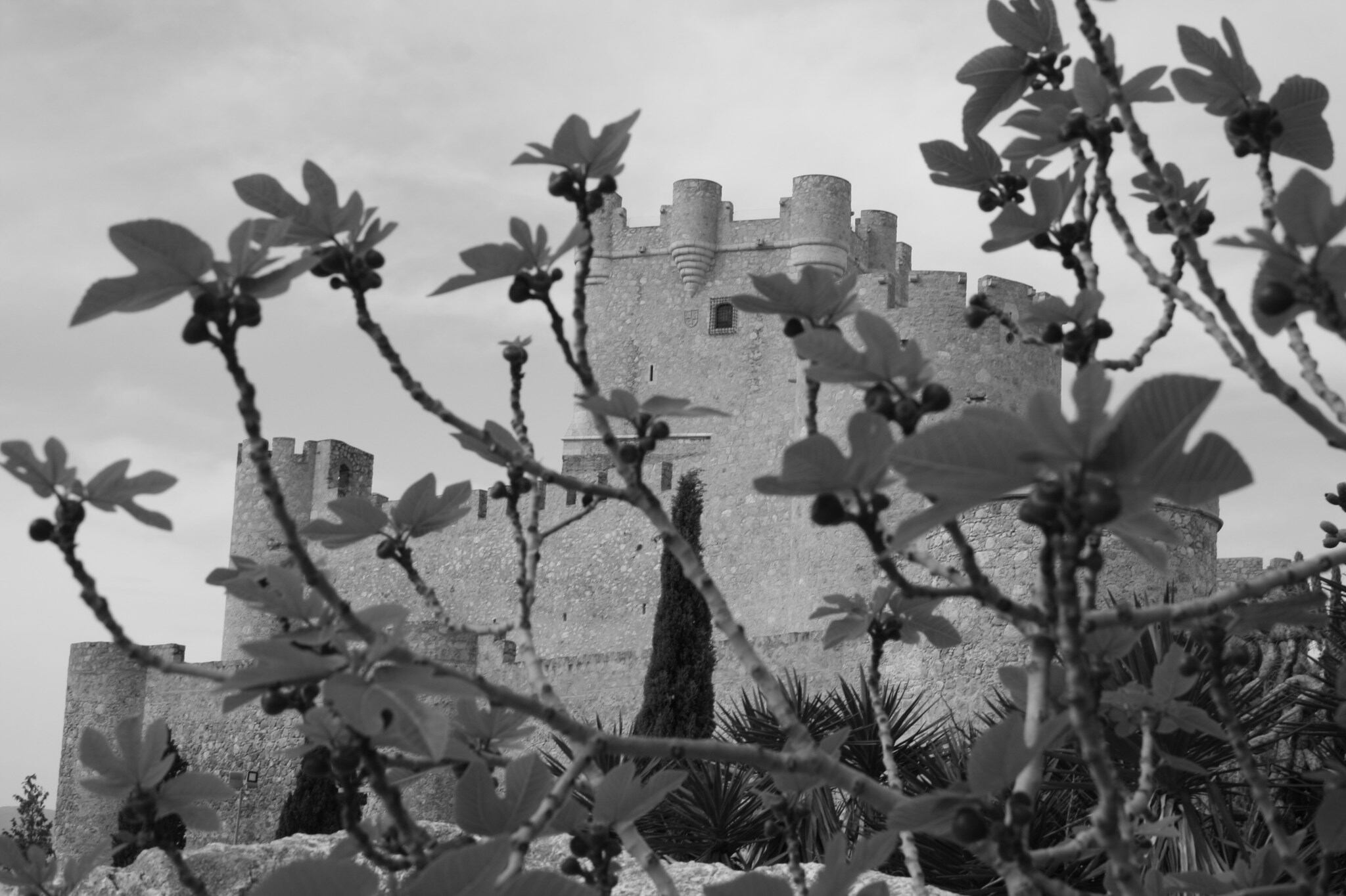 Trabajos premiados en el concurso