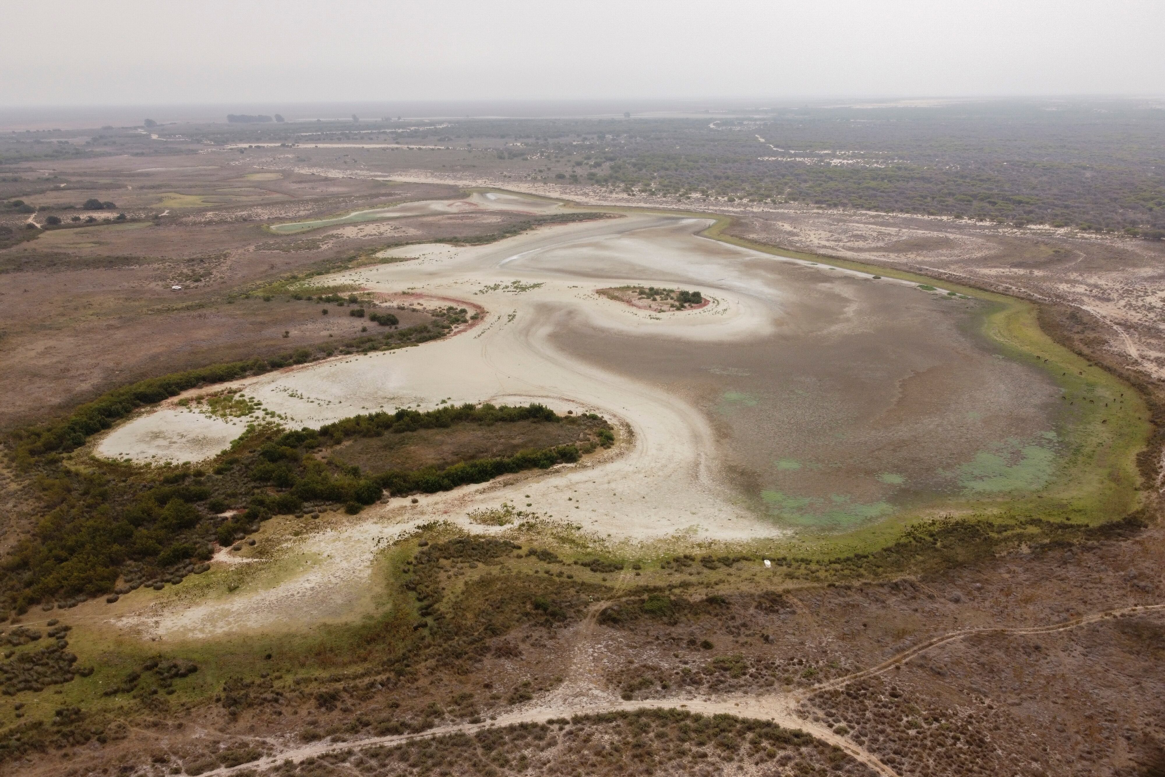 Vista aérea a 9 de agosto de 2023 de Santa Olalla, la más grande de Doñana.