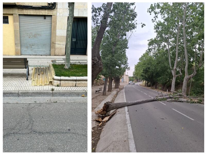Las fuertes rachas de viento en Ejea provocaron caídas de ramas y otros elementos a la vía pública