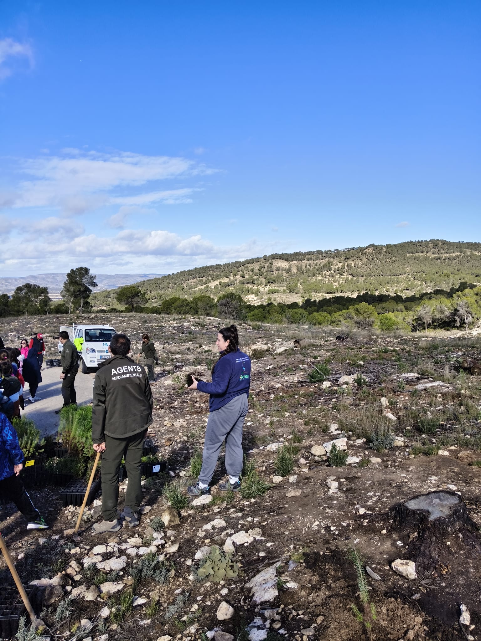 Plantación Día del Arbol. Biar