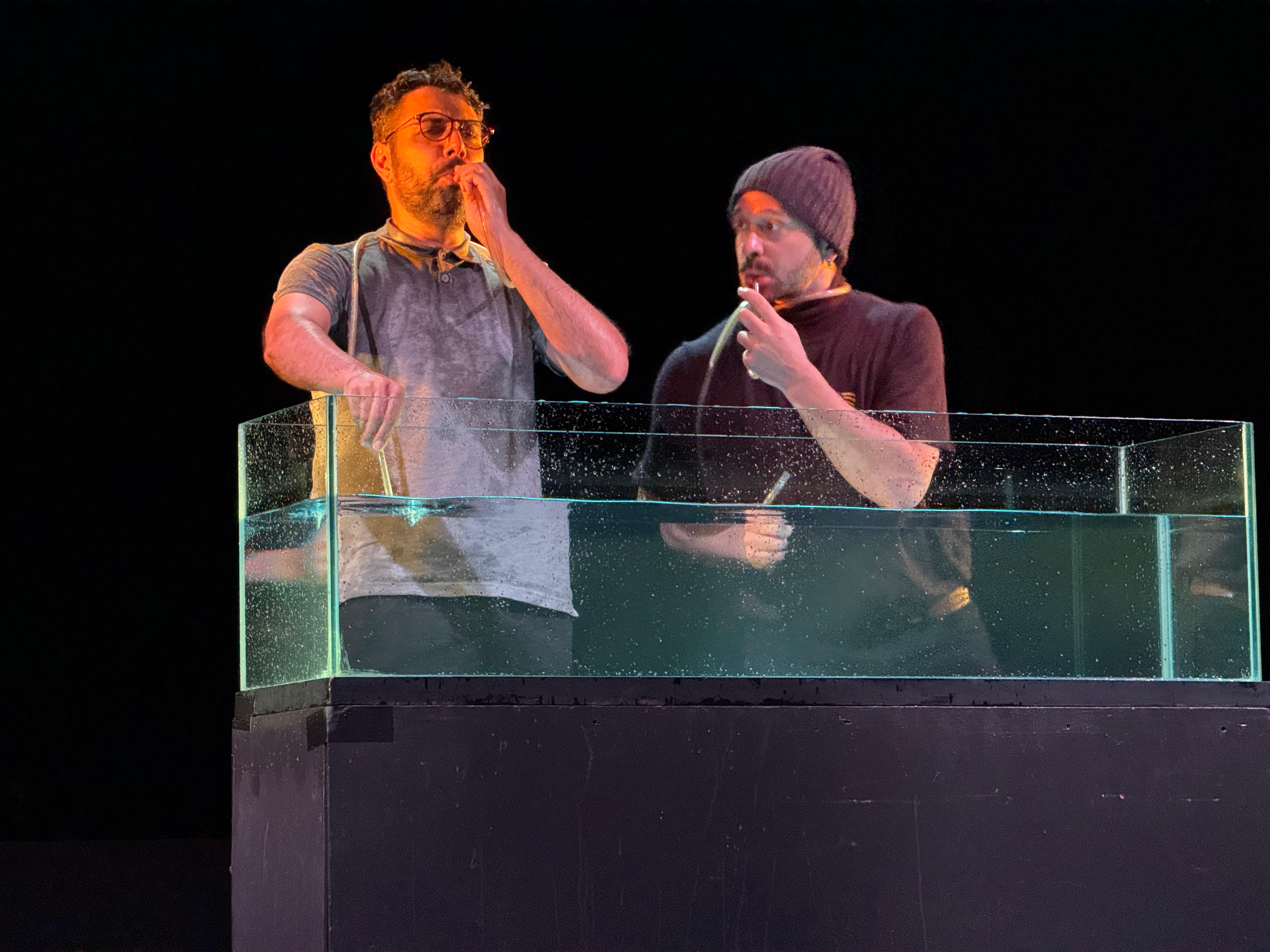 Nautilus. Imaginaria 2025.