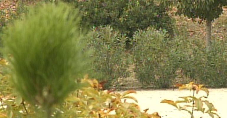Zonas verdes en la zona norte de Madrid