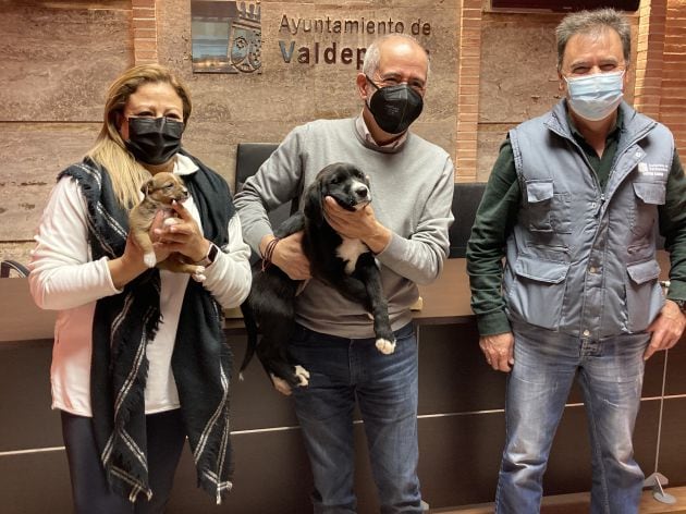 De derecha a izquierda: José Luis Nieto, responsable del centro canino de Valdepeñas; José Antonio Sánchez Elola, concejal de Medio Ambiente y Patricia Vargas, valdepeñera que ha adoptado a Nocilla