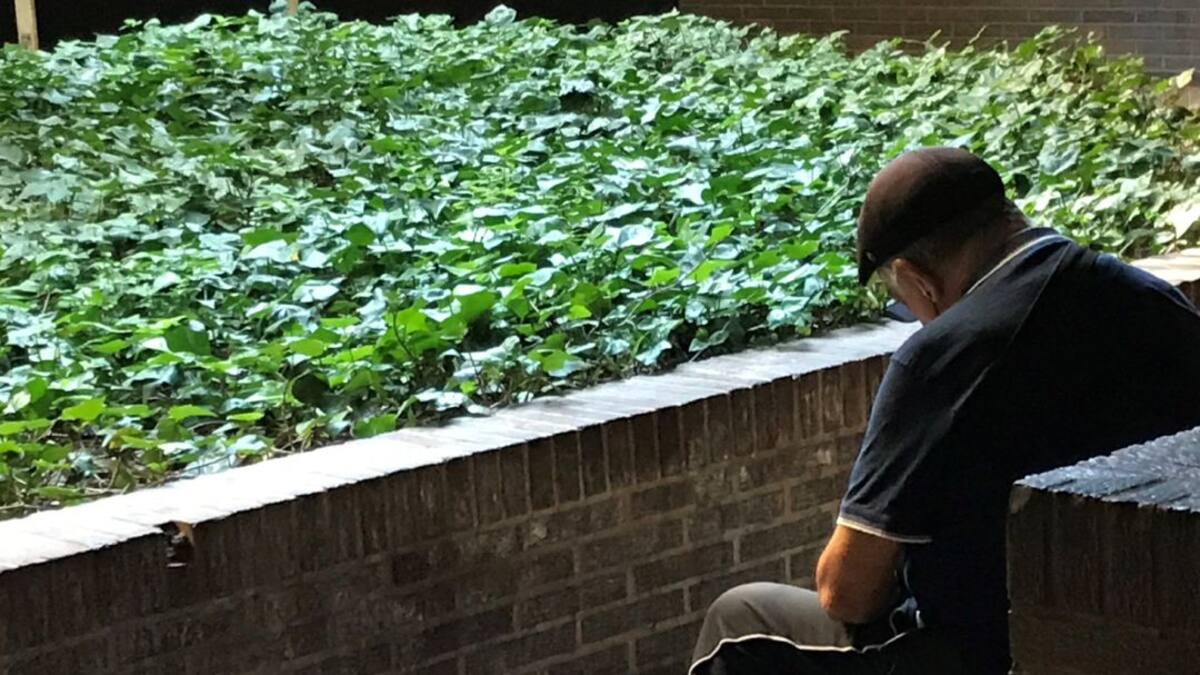 Ponferrada pone en marcha el programa "Faro", un radar de la soledad no deseada