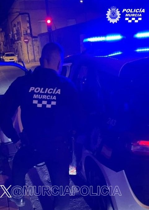 Detención del presunto autor de un delito de violencia de género