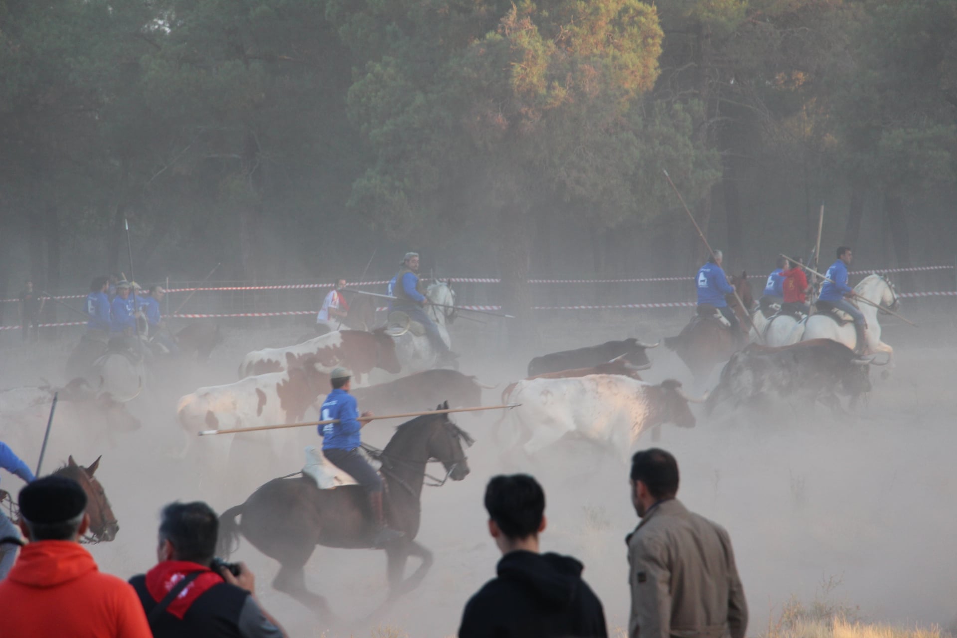 Los toros de Cebada Gago salen de los corrales del río Cega