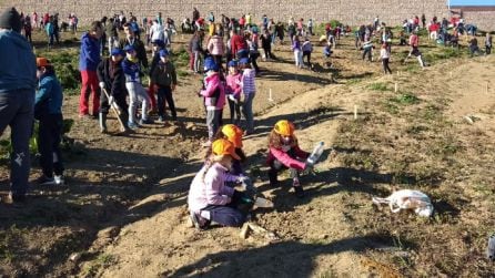 Los equipos de los distintos centros escolares demostraron estar muy organizados y concienciados con su labor