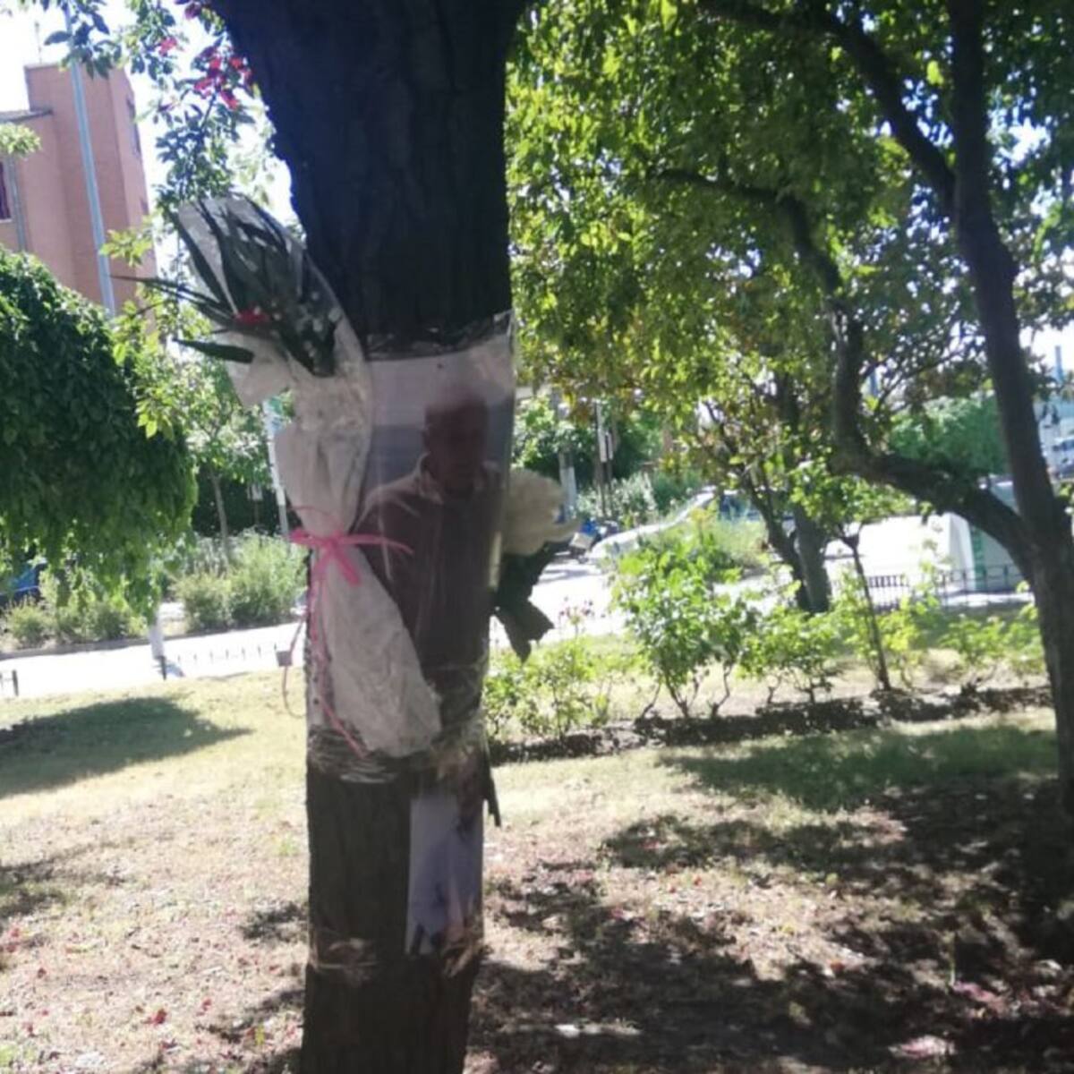 El bosque del recuerdo de los fallecidos en residencias de Leganés y Alcorcón