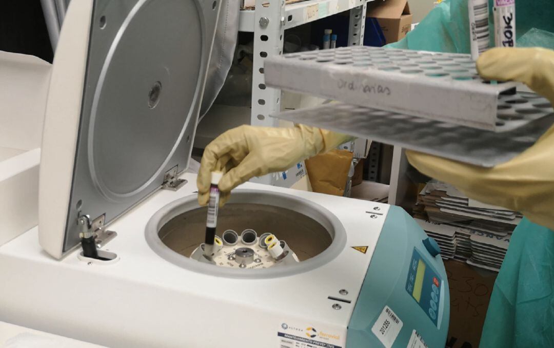 Sanitarios manipulan muestra de sangre