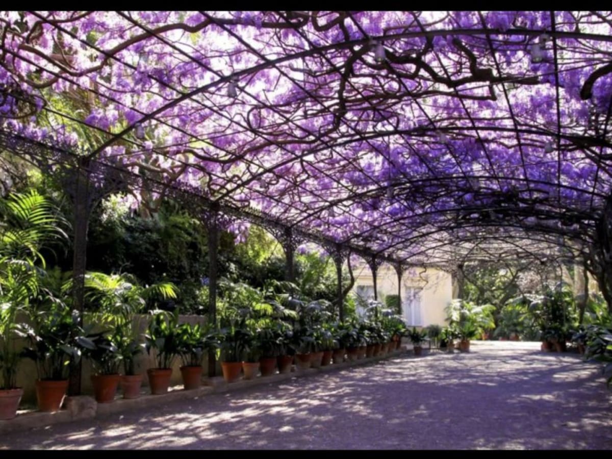 El jardín botánico- histórico La Concepción de Málaga contará con un quiosco de comida y bebida