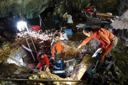 Excavación en Cueva Mayor en los yacimientos de Atapuerca