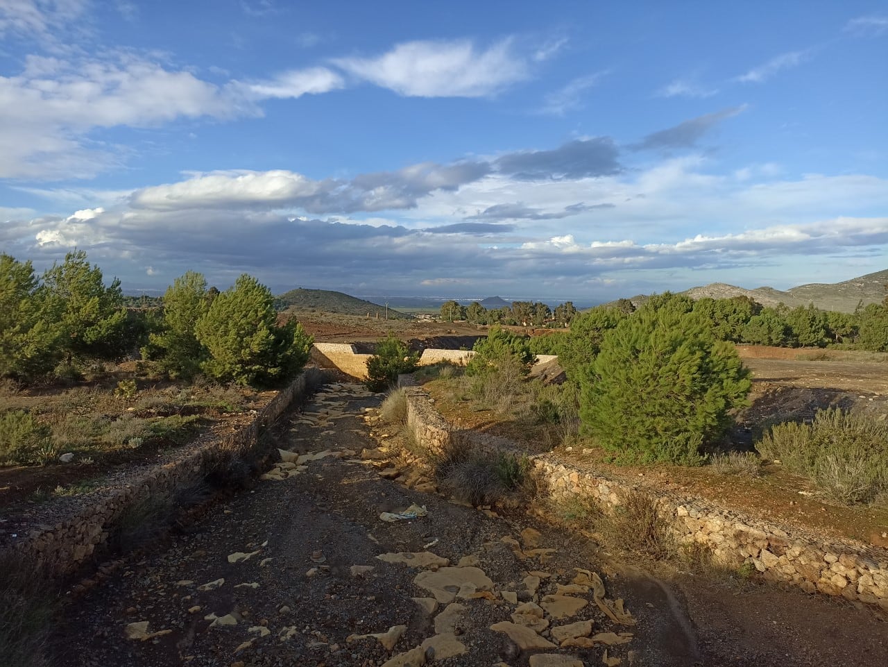 Rambla del Beal