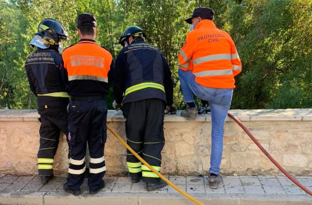 Los voluntarios de la agrupación, junto a los bomberos en una actuación