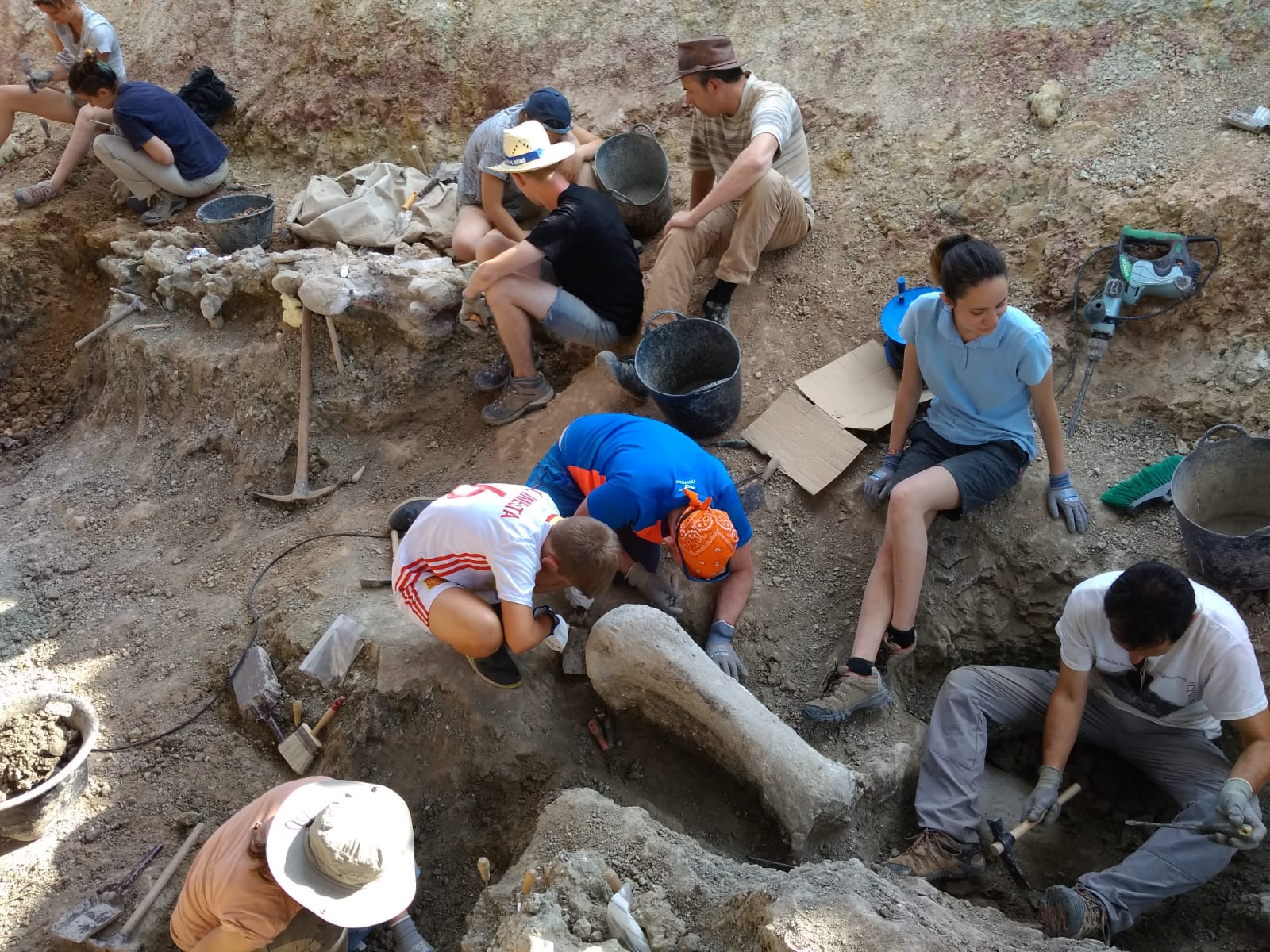 Yacimiento de dinosaurios en la Sierra de la Demanda burgalesa