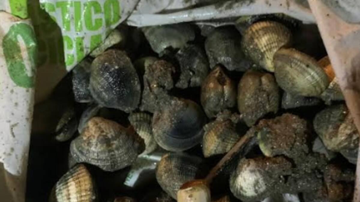 La Policía Local de Vigo intercepta en la ETEA a dos furtivos con un kilo de bivalvos