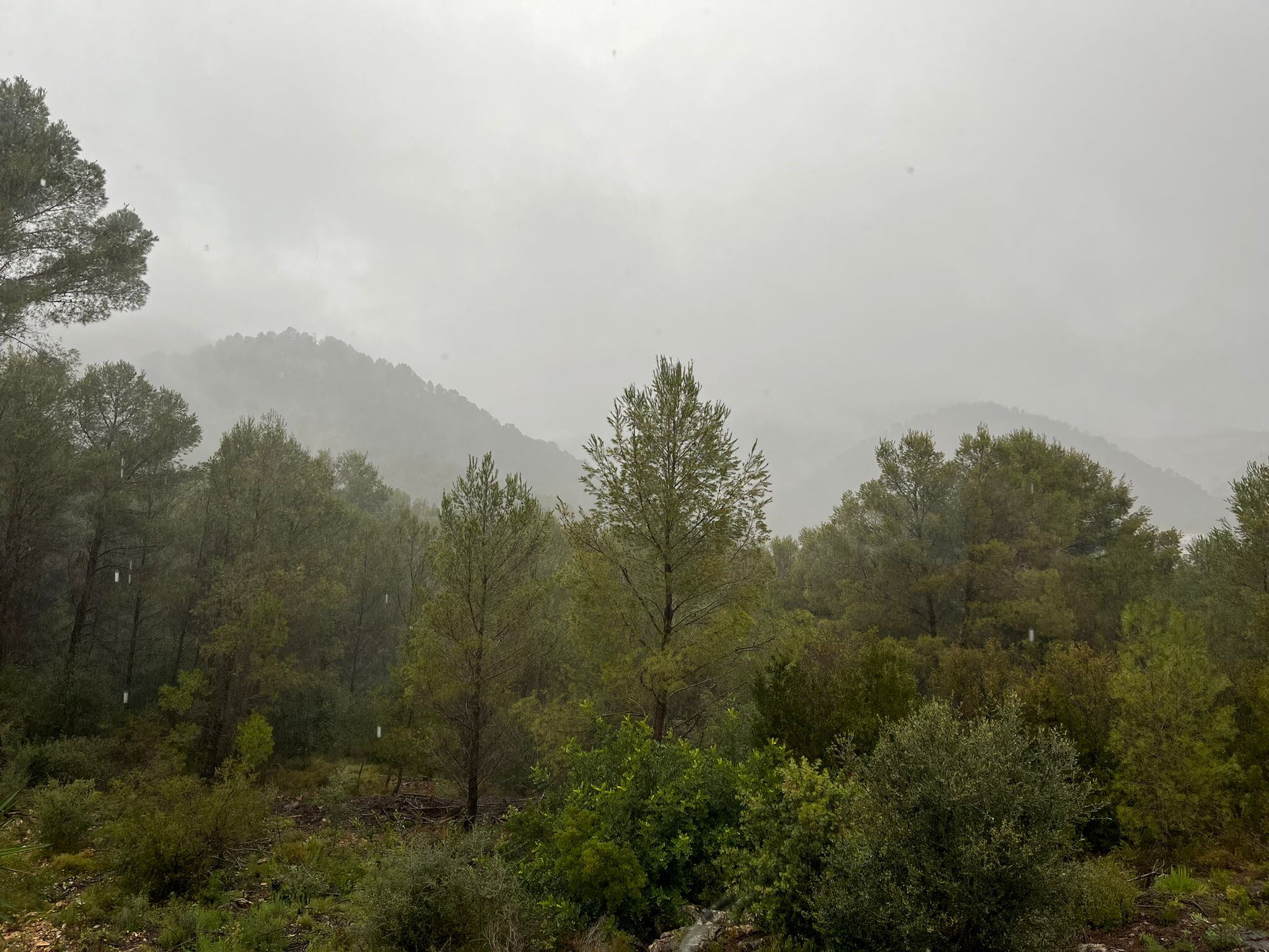 Lluvia en la comarca de la Safor