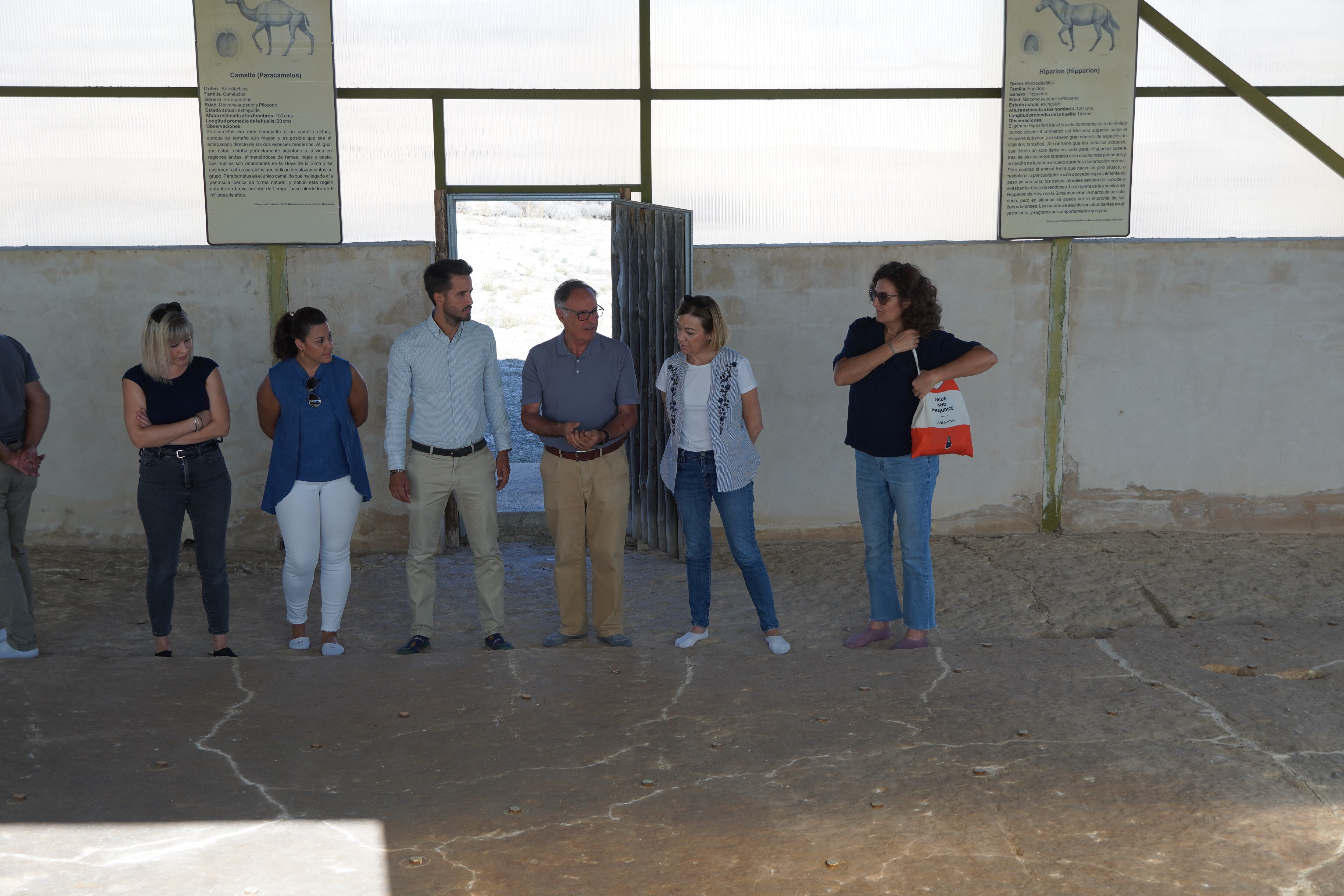 Durante la visita del director general de Patrimonio Cultural de la Región de Murcia, Patricio Sánchez al yacimiento