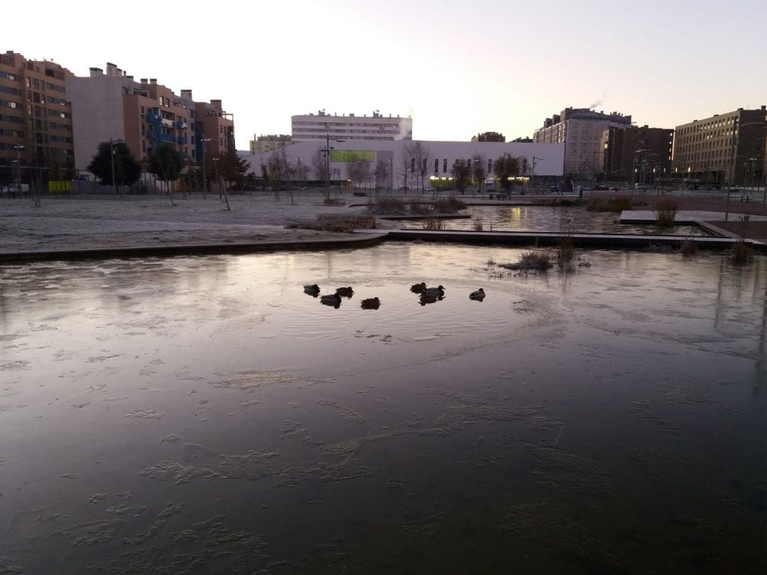 El estanque de Salburua parcialmente helado