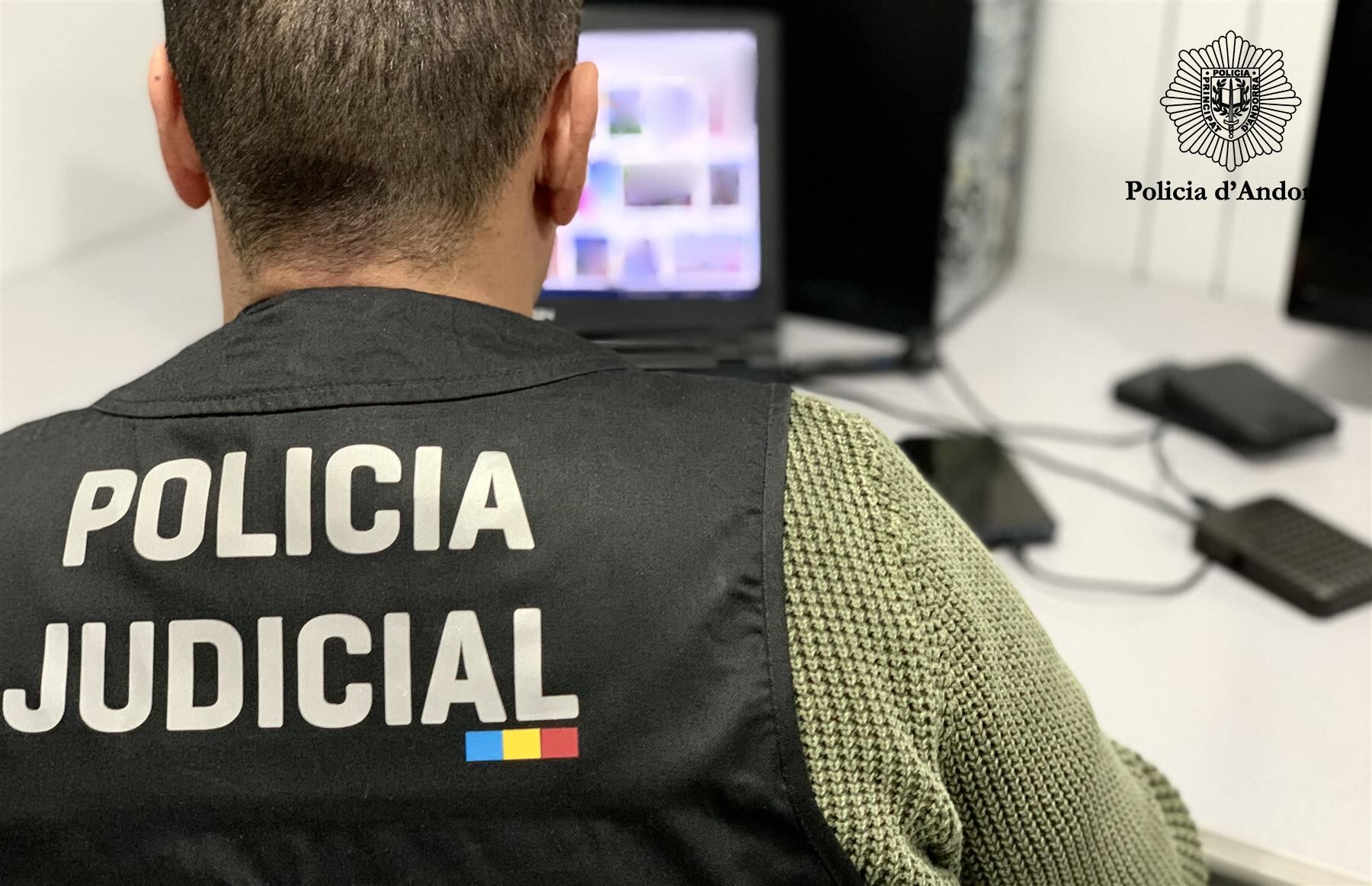 Agent de la policia judicial revisant material presumptament delictiu a internet.