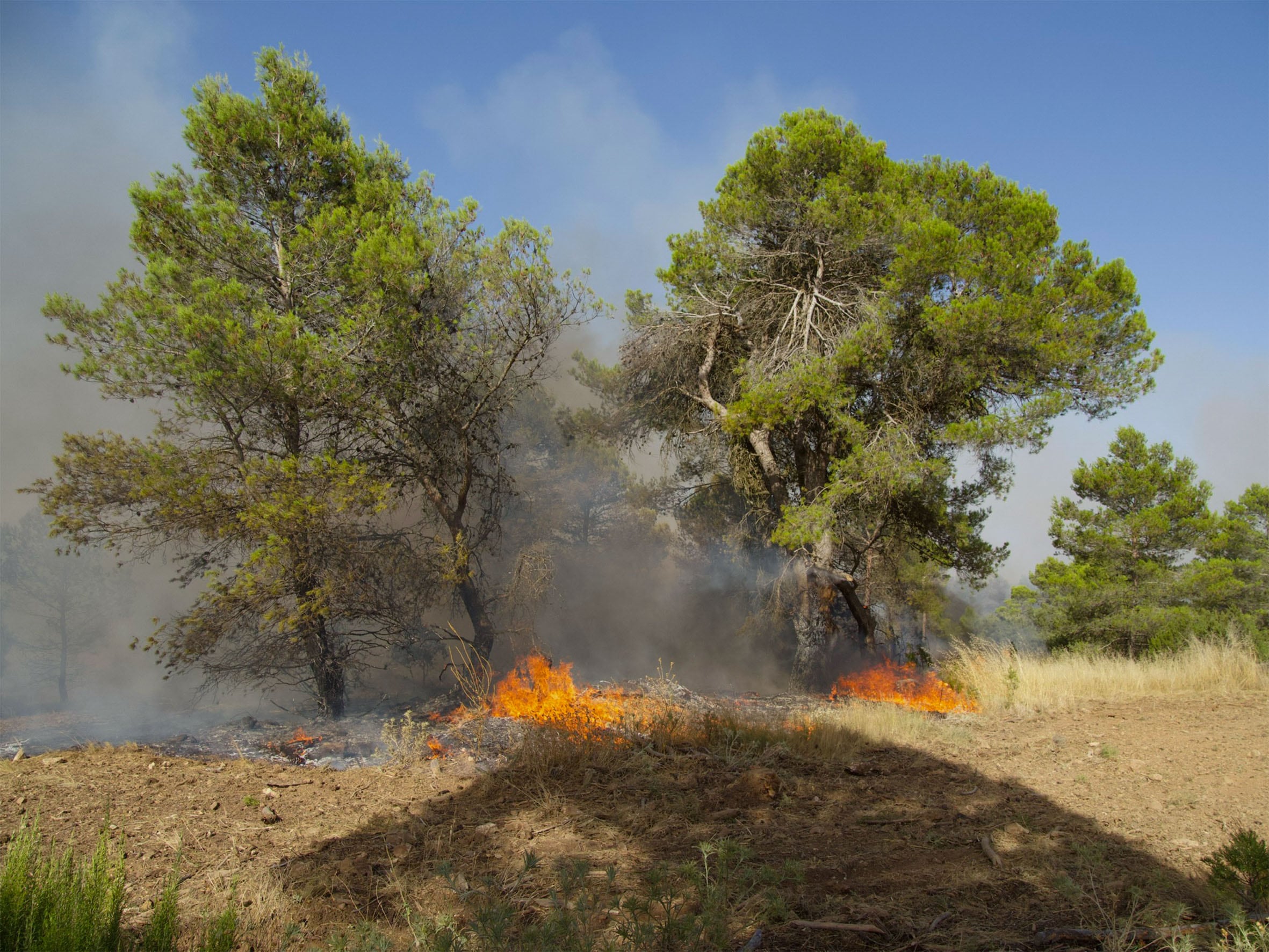 Imagen del incendio forestal de Valverdejo (Cuenca) el pasado 31 de julio