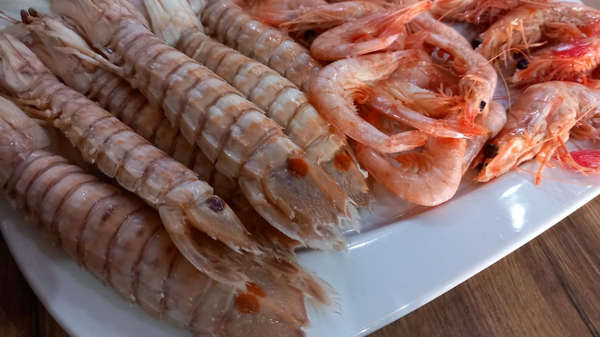 Bar Frasco: caballo ganador