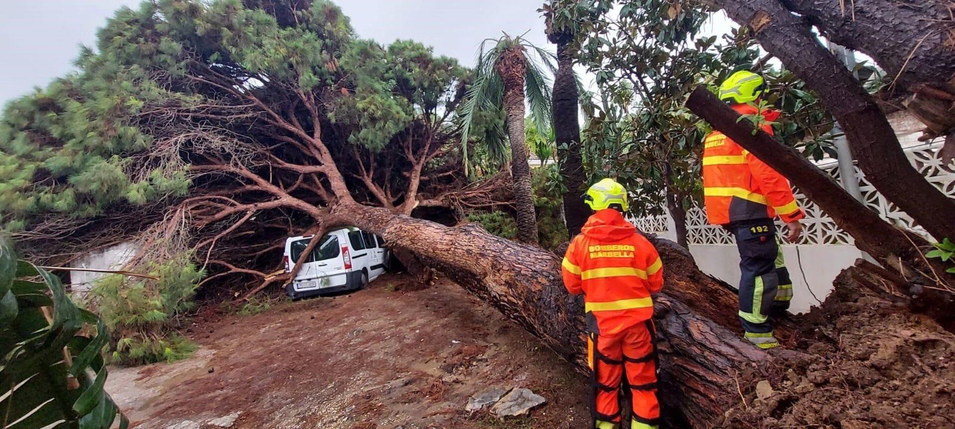 Los bomberos de Marbella intervienen en la retirada de un árbol caído como consecuencia de la borrasca Claudia