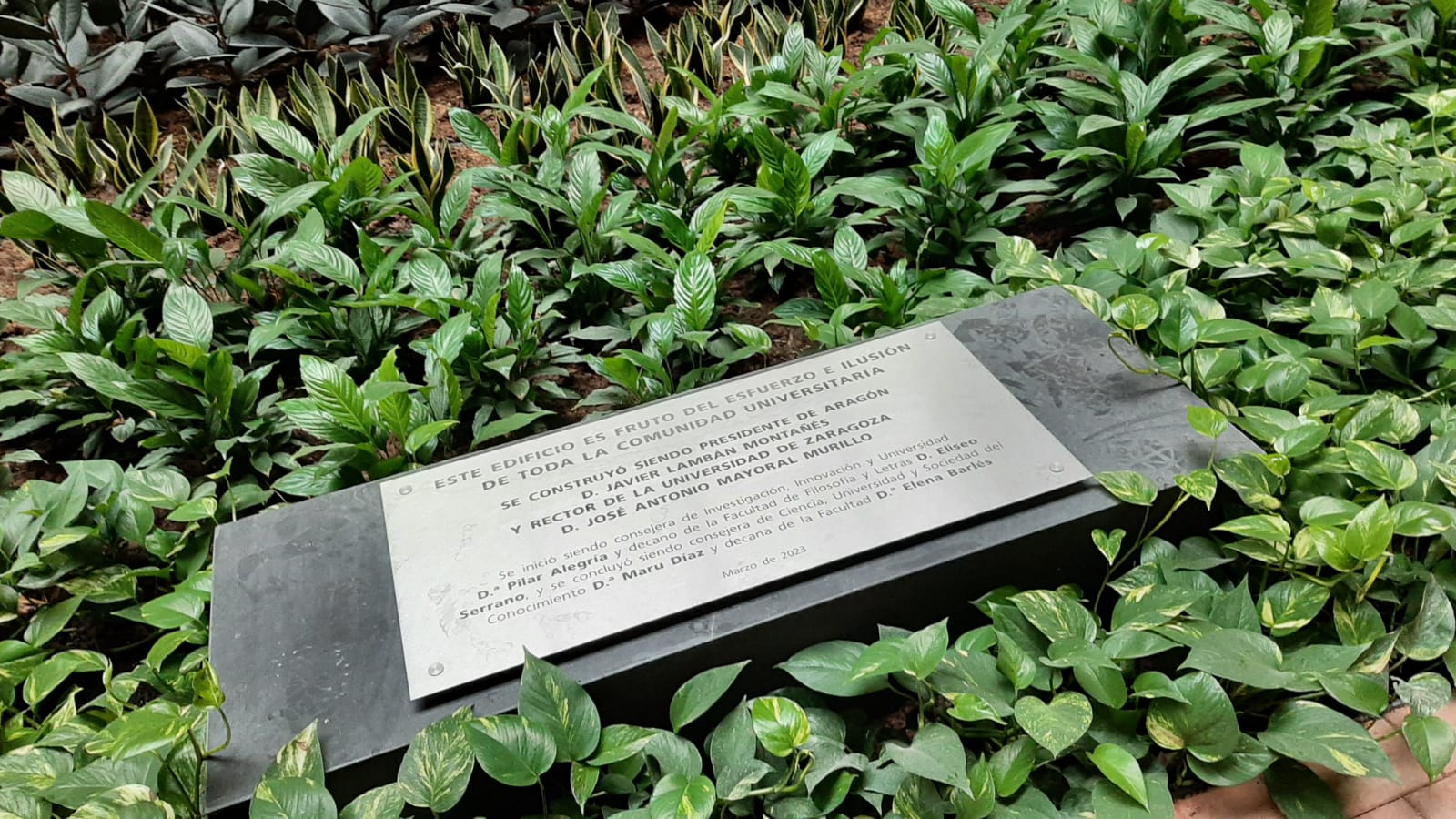 Mudanza en la Facultad de Filosofía y Letras de Zaragoza: Placa en el patio central del nuevo edificio